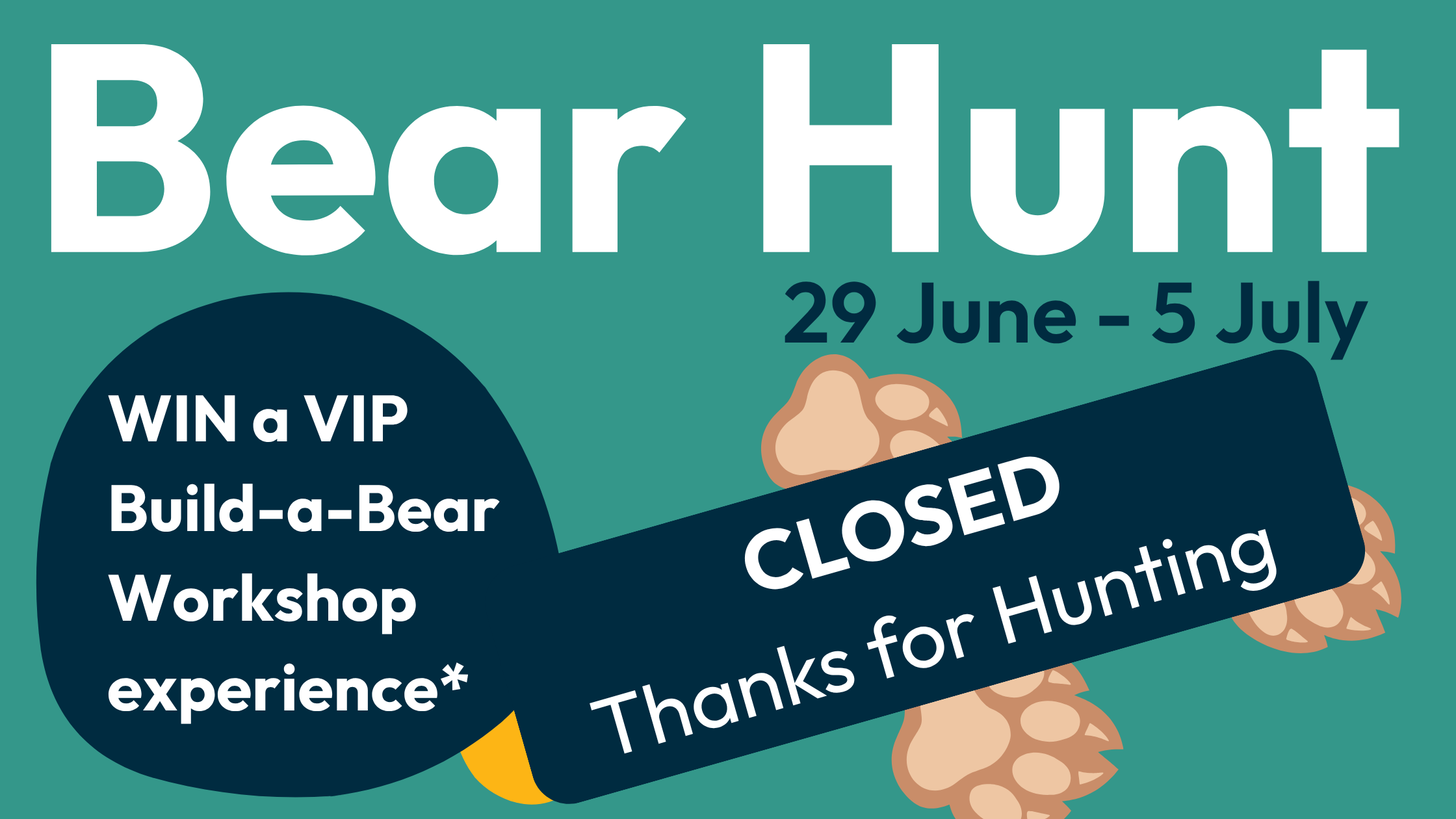 Beary Fun (11)